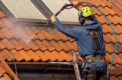Démoussage et hydrofuge de toiture à Bosgouet